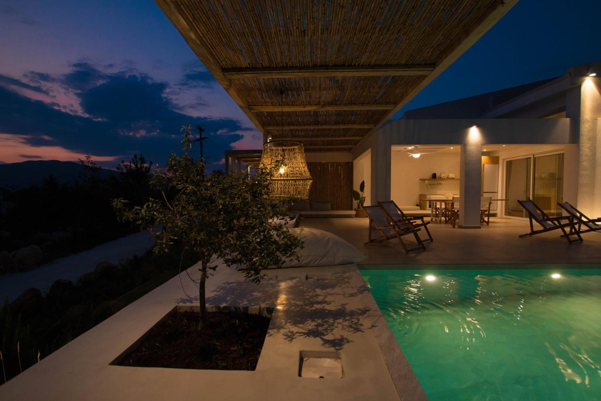 Aristotelia Gi - Premium Luxury Villas With Private Pools Olympiada Bagian luar foto